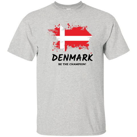 Fifa World Cup 2018 Denmark Youth T-Shirt Ash / YXS T-Shirts - LiteBoy Store